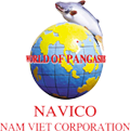 ANV logo