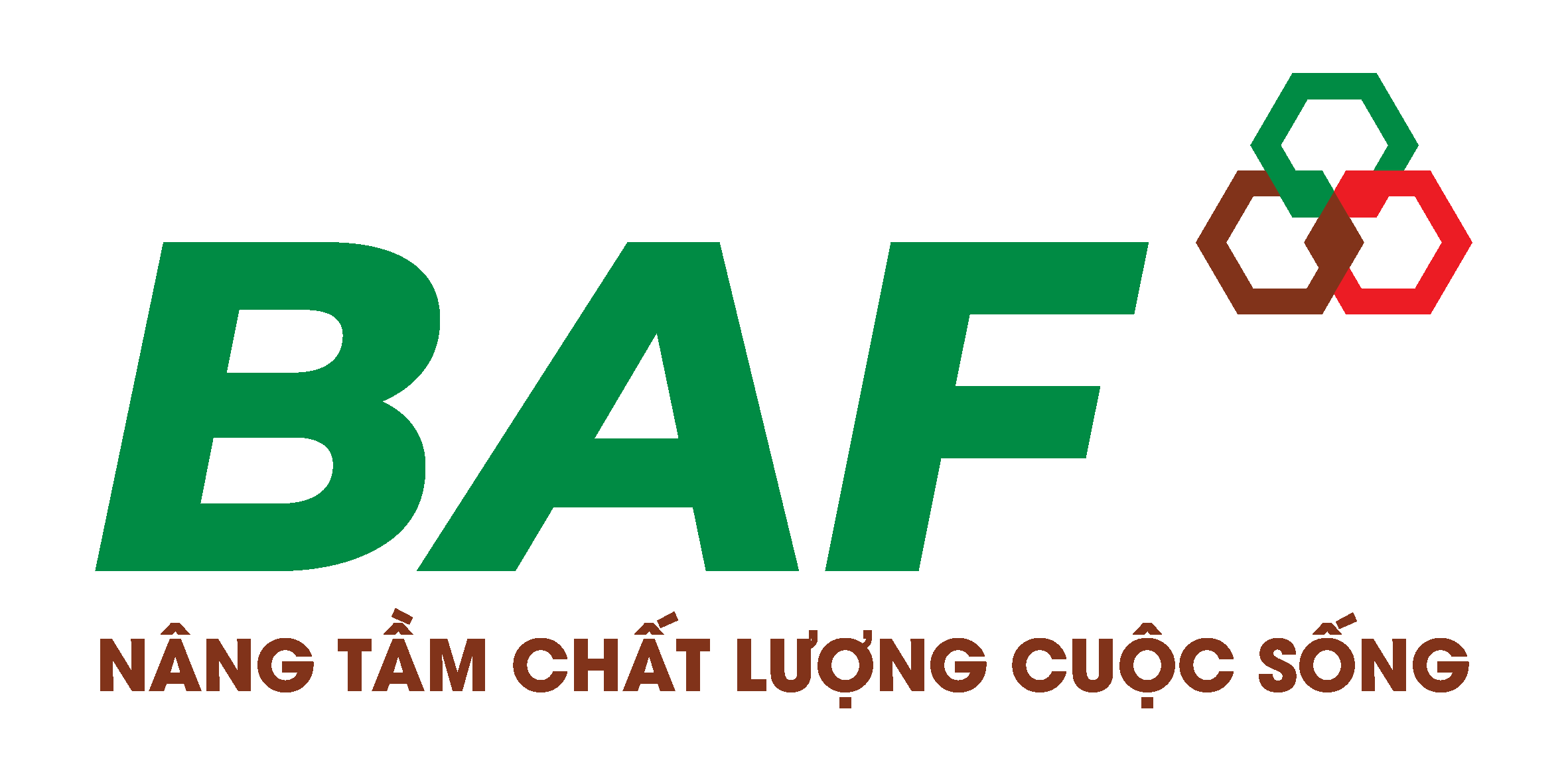 BAF logo