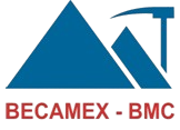 BMJ logo