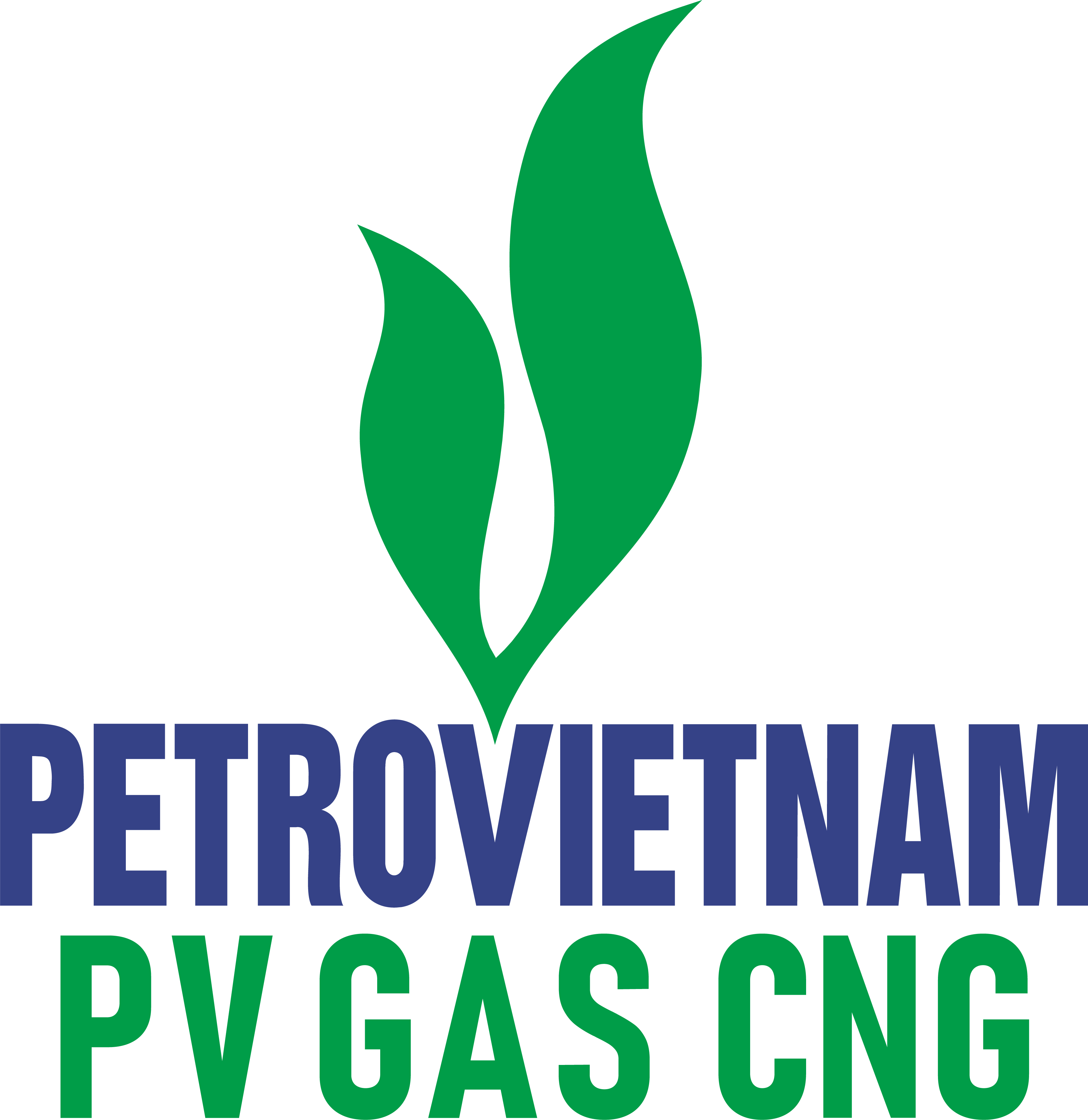 CNG logo