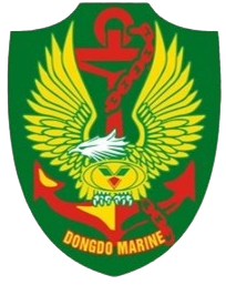 DDM logo