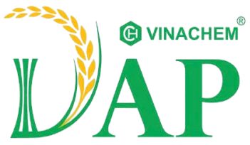 DDV logo
