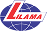 LLM logo