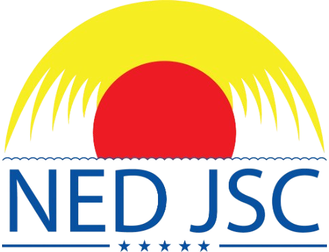 NED logo