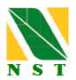 NST logo