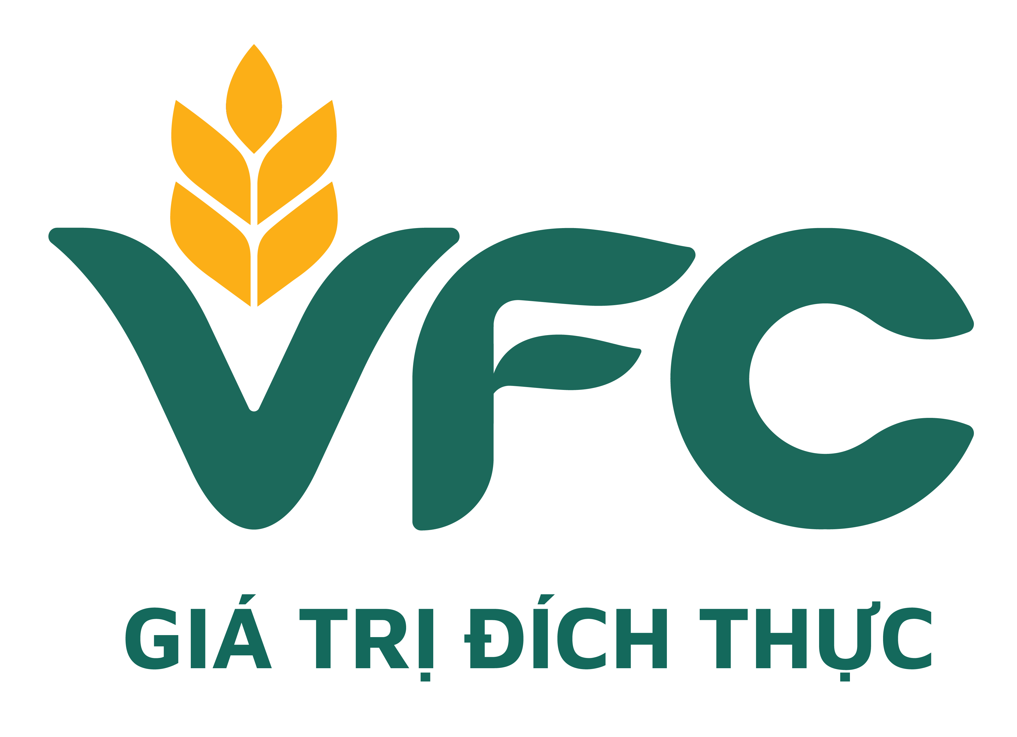 VFG logo