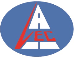 VSE logo